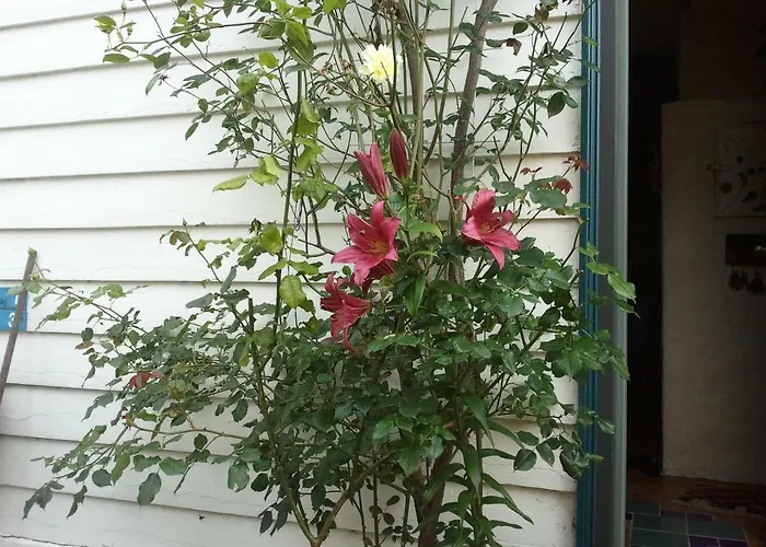 Annehelenes Frühstückspension